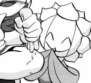 sunflora