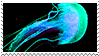 missing image
