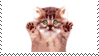 missing image