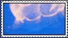 missing image
