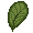 leaf leaf