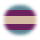 transman tinted orange