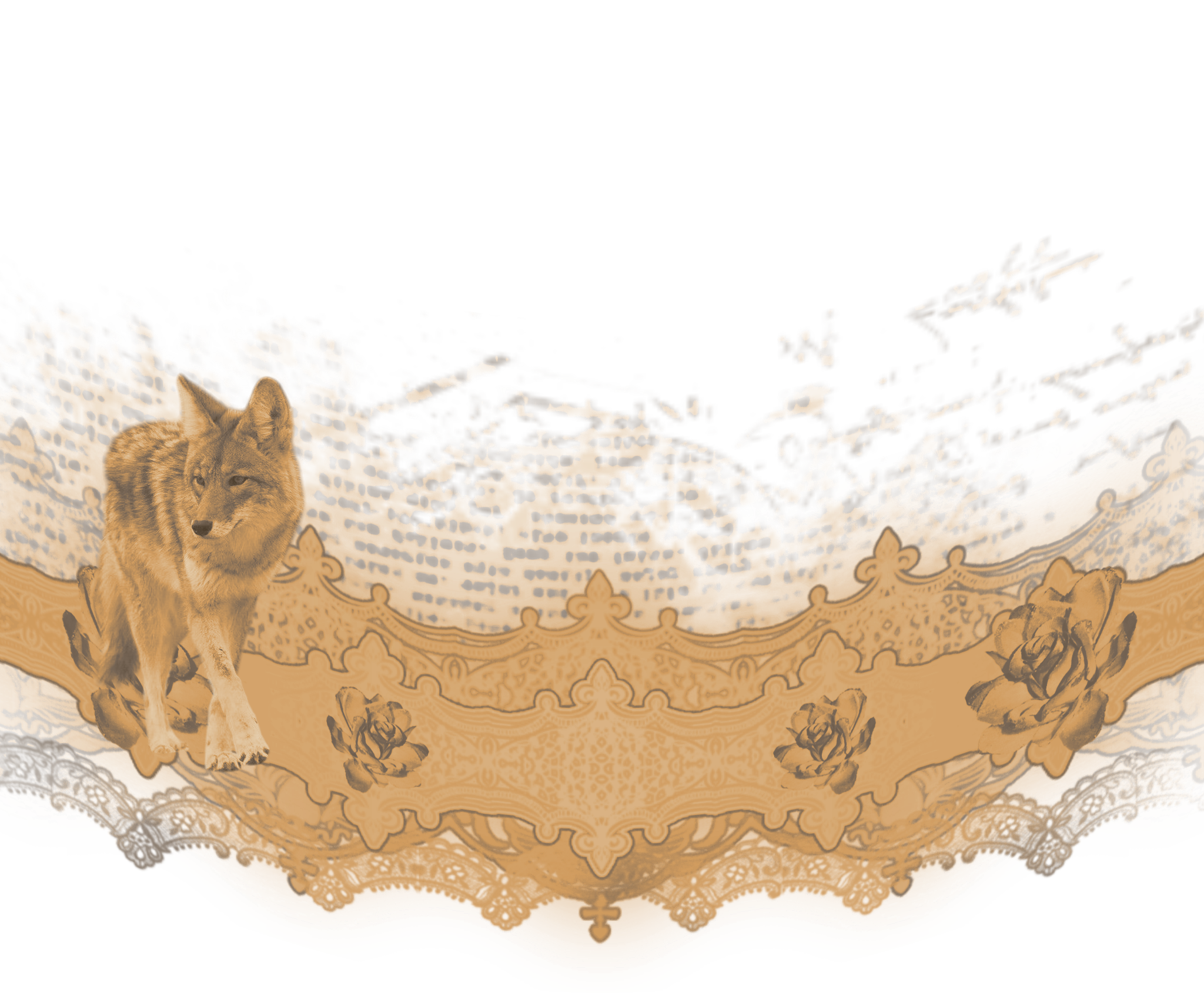 not free to use. i made this.