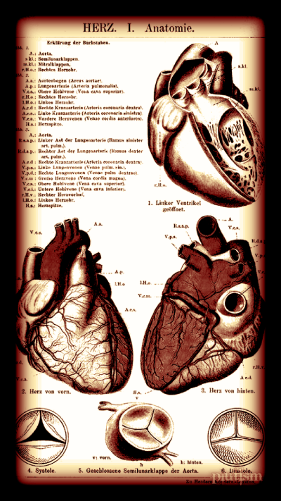 Put here some quote from a quest idfk