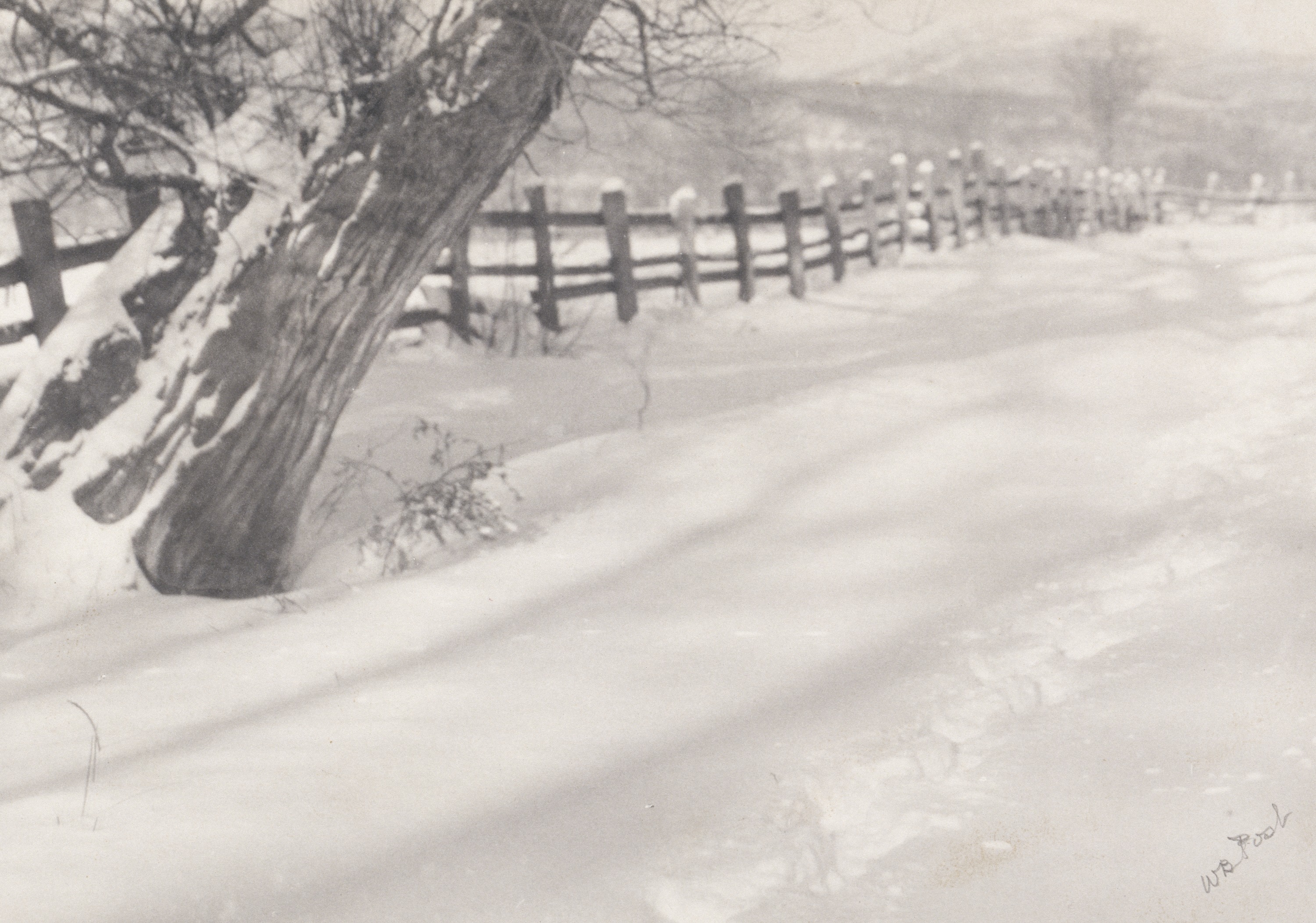 Algeon Praere's banner