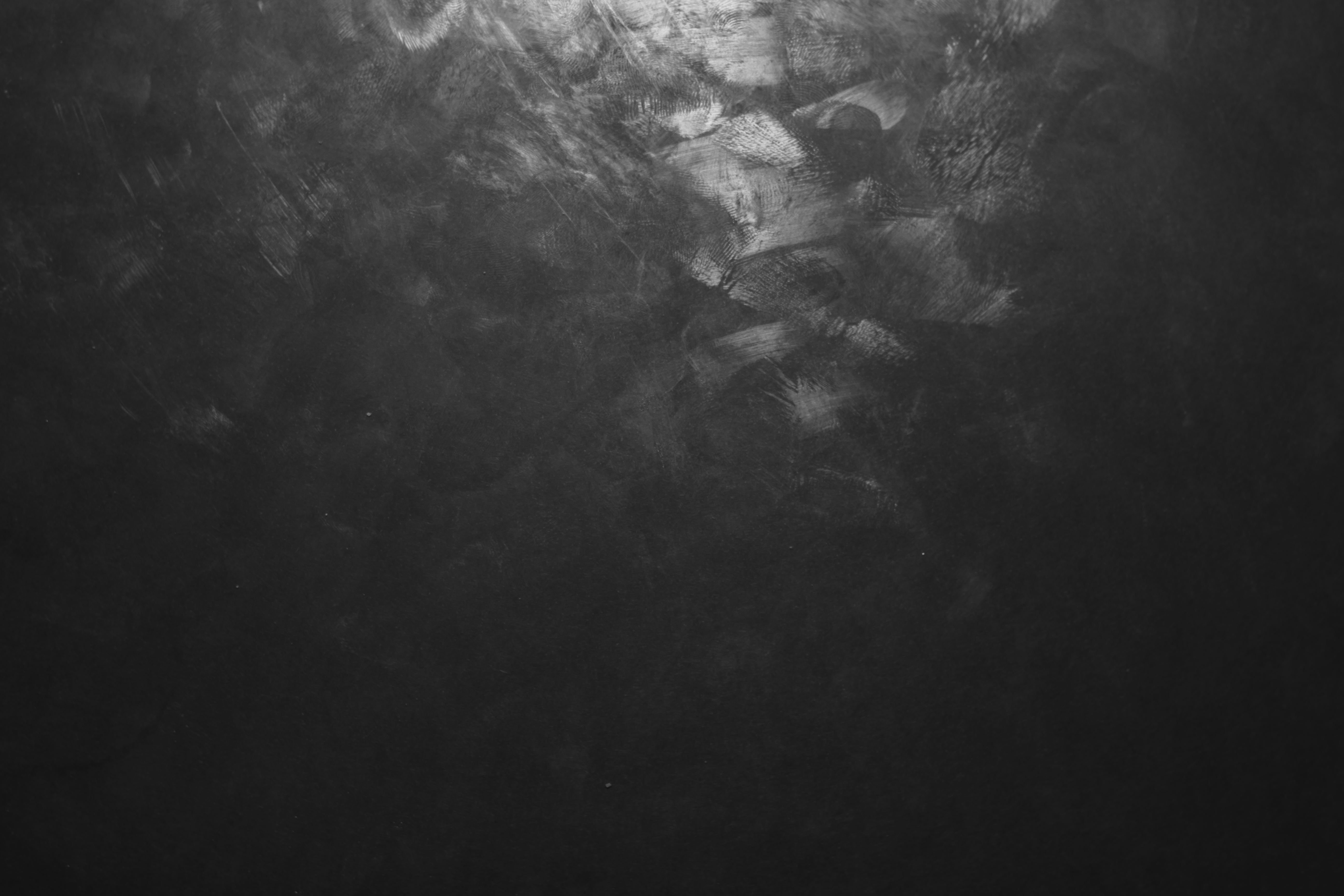 SpidersSekret's banner