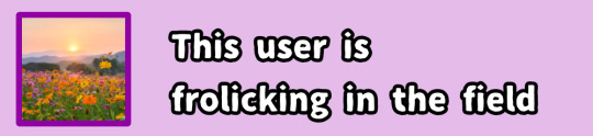 this user is frolicking in the field
