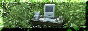computer in grass