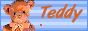 teddy