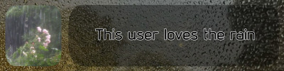 this user loves the rain