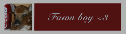 fawn boy <3