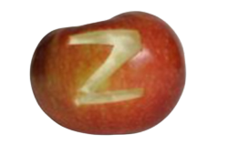 Z