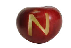 N