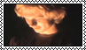 80
