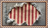 231