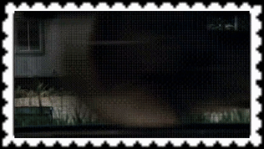 206
