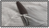 306
