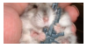 190