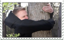 184
