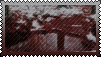 243