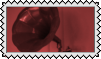 phonograph