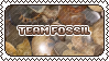 Team Fossils