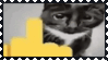 fuck you