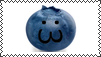 blueberry