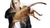 weevil