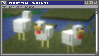 chickens