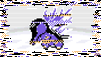 glitch cyndaquil