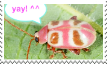 bug yay