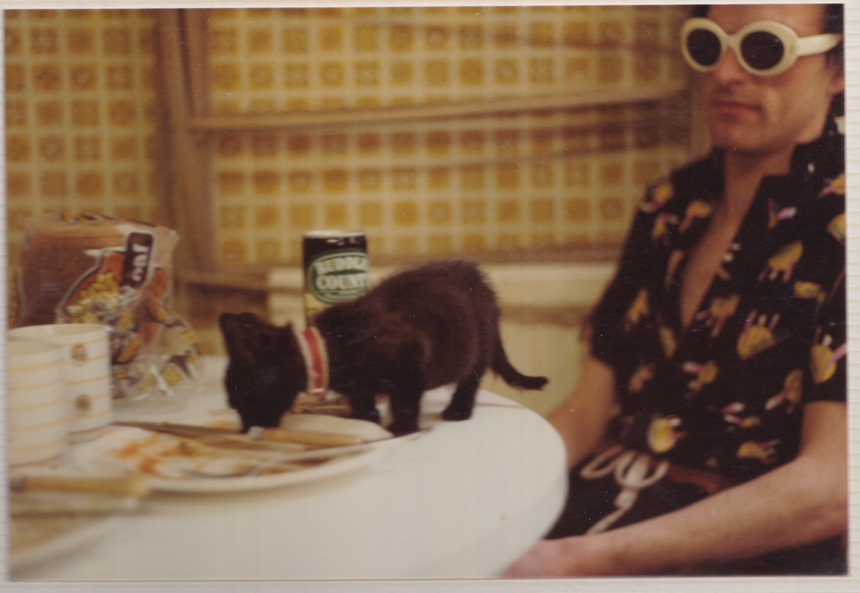 Kim sitting at a breakfast table, a black kitten eats his leftovers on the table