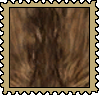 A digital stamp of the original category beige coat from WolfQuest: Annivisary Edition.