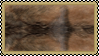 A digital stamp of the original category biege coat from WolfQuest: Annivisary Edition.