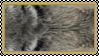 A digital stamp of the original category grey coat from WolfQuest: Annivisary Edition.