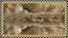 A digital stamp of the original category tawny coat from WolfQuest: Annivisary Edition.