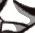 png 5