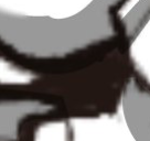 png 7