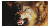 Snarling wolf stamp