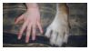 Hand and wolf paw stamp