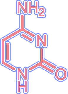 Cytosine. AKA noé