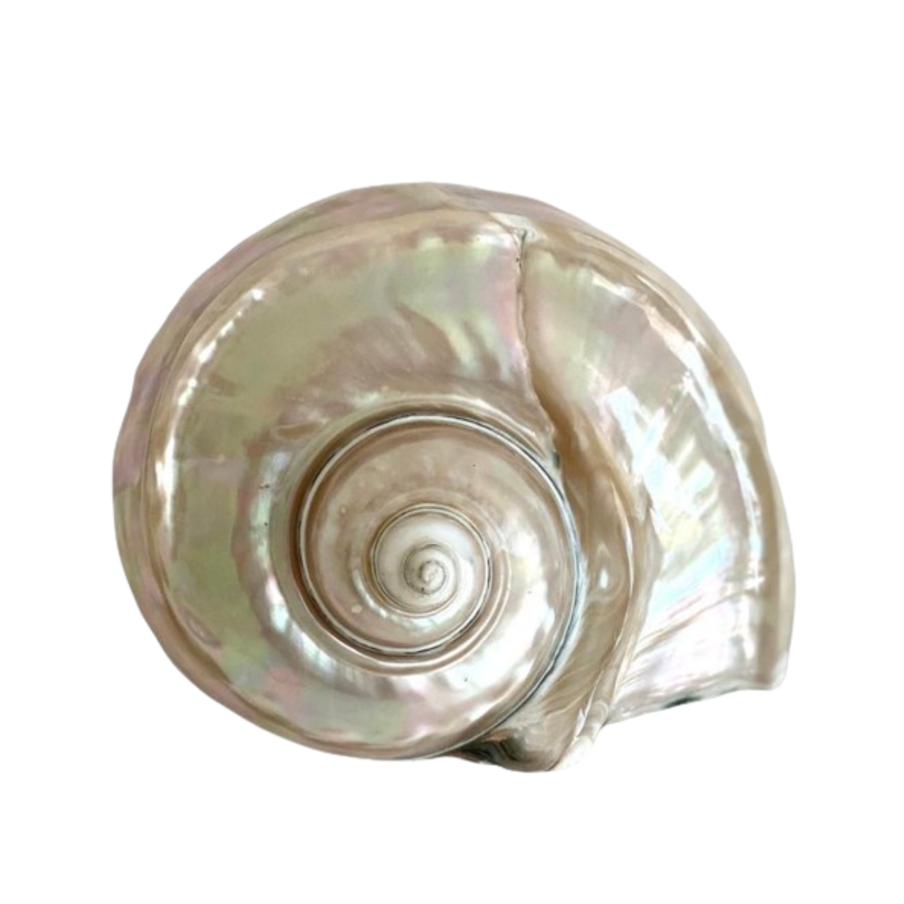 307