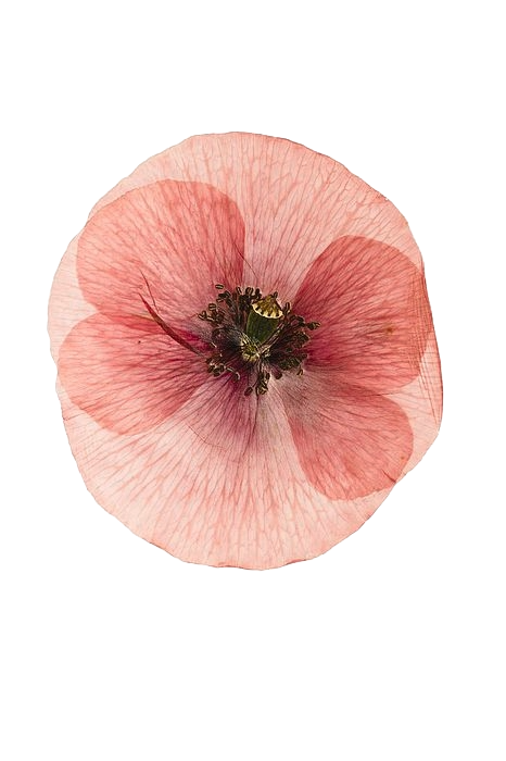 323