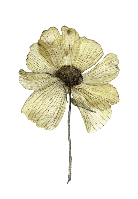 330