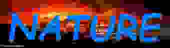 jpg'd image of a forest fire with "NATURE" written in blue comic sans
