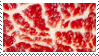 886