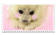 906