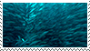 803