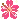 pink 16